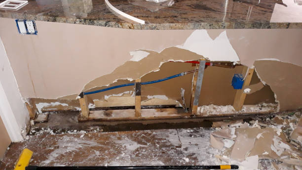 Best Water damage repair service  in Sitka, AK