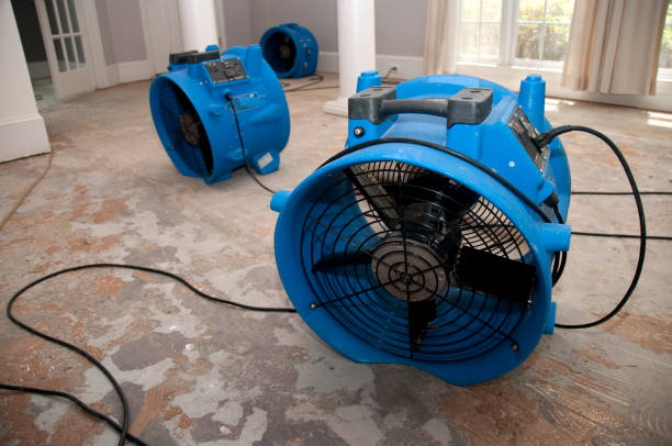 Best 24-hour water damage restoration  in Sitka, AK