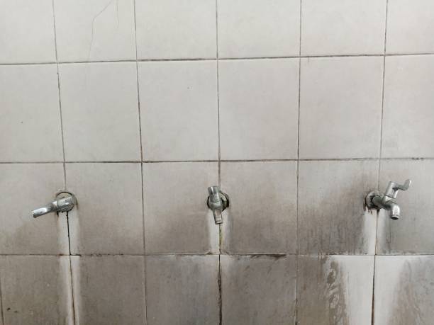 Best Flood damage cleanup  in Sitka, AK