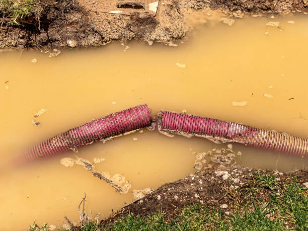 Best Water damage restoration cost  in Sitka, AK