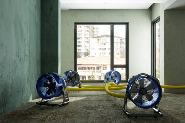 Best Basement water damage restoration  in Sitka, AK
